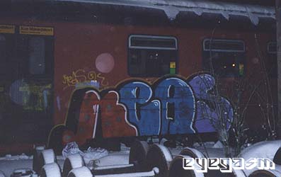 keas1.jpg