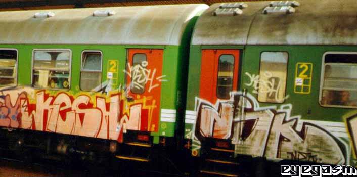 kesh-nsk01.jpg