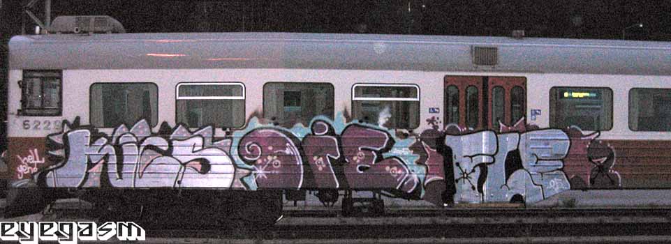 kics-die-fle01.jpg