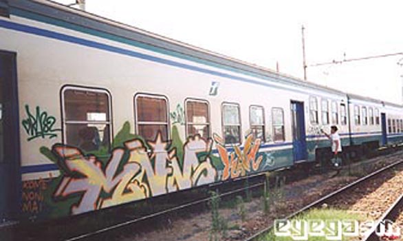 knm-knm01.jpg