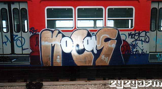 kocas01.jpg