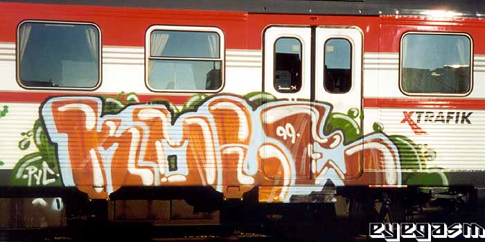 kole01.jpg