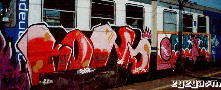 kond-paradiso01.jpg