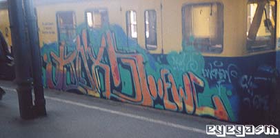 kox05.jpg