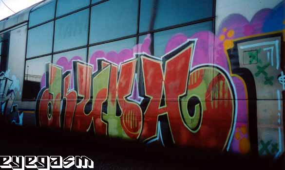 kuda01.jpg