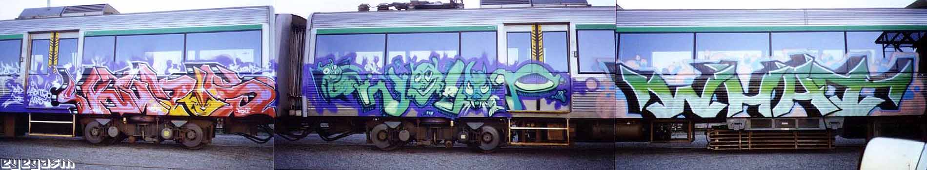 kudos-wolop-what01.jpg