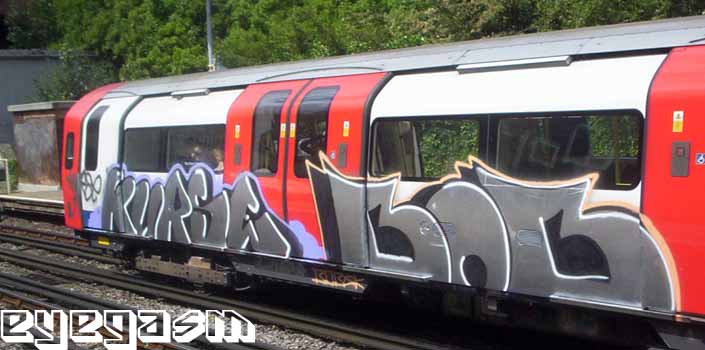 kurse-bob01.jpg