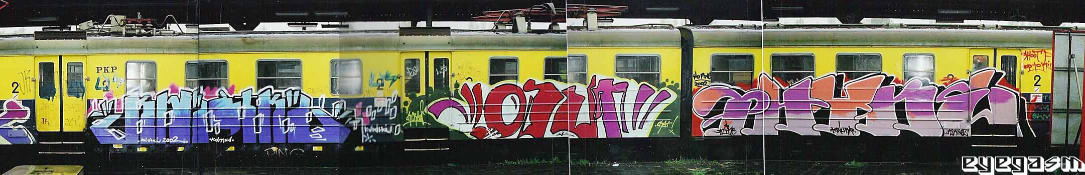 kwiat-oset-phyke01.jpg