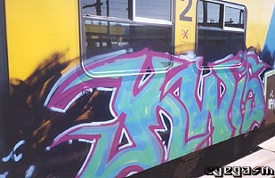 kwis01.jpg