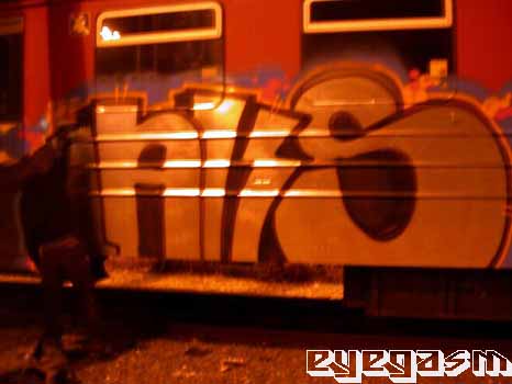 laks01.jpg