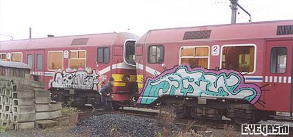 lama-ars01.jpg