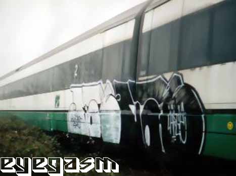 large05.jpg