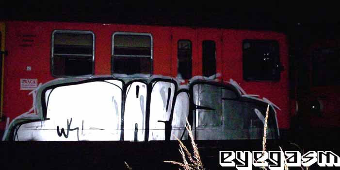 laris01.jpg