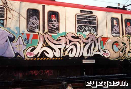 lason01.jpg