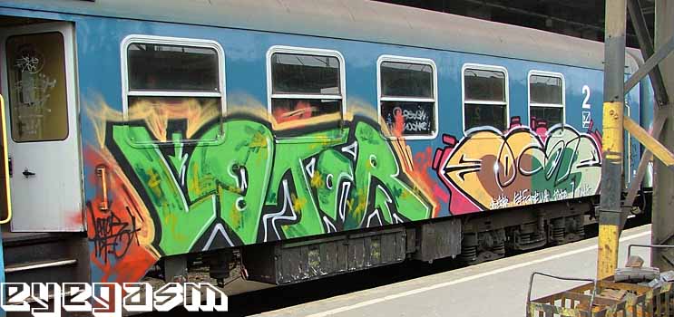 lator-bogar01.jpg