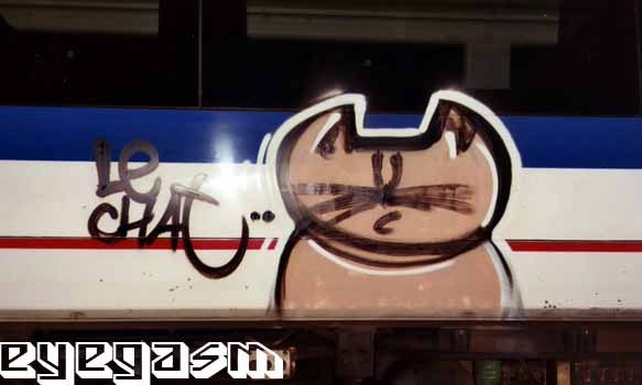 lechat01.jpg