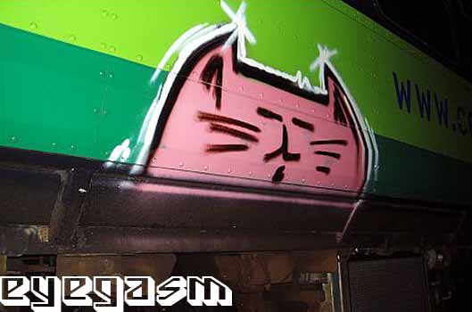 lechat03.jpg