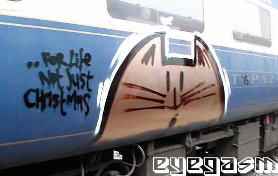 lechat05.jpg