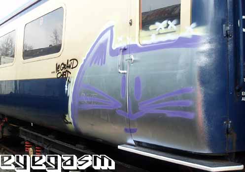 lechat10.jpg