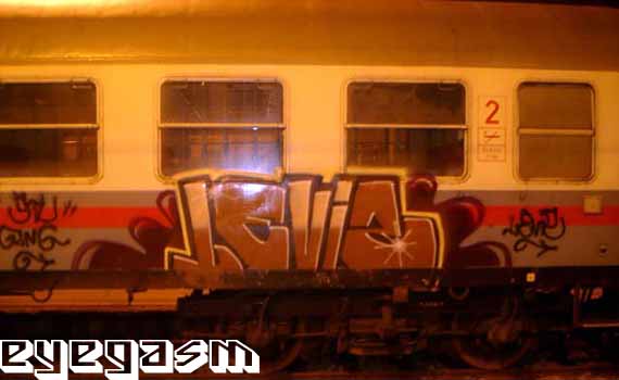leviz01.jpg