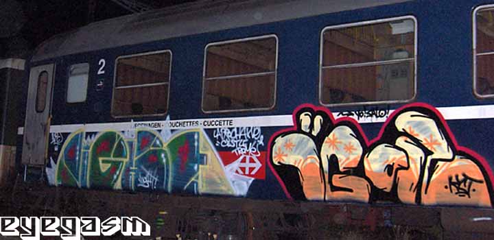 light-igor01.jpg