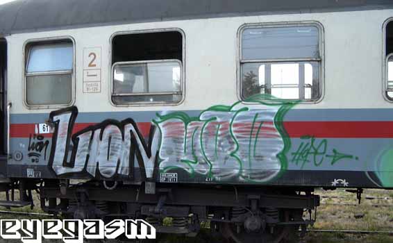 lion001.jpg
