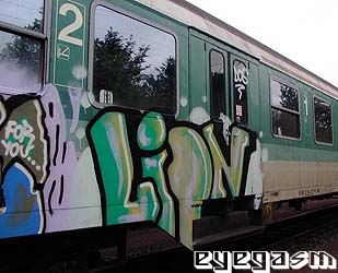 lion01.jpg