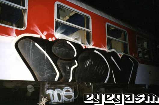 lion03.jpg