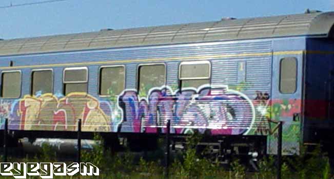 lkc-wild01.jpg