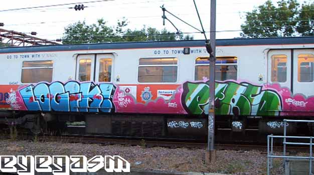 logik-peas01.jpg