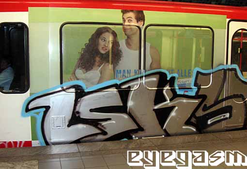 lsk06.jpg