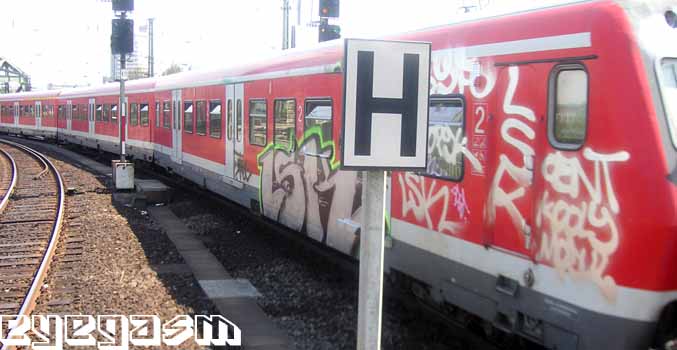 lsk12.jpg