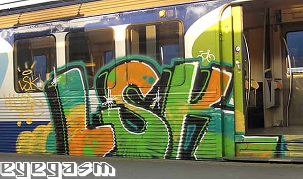 lsk16.jpg