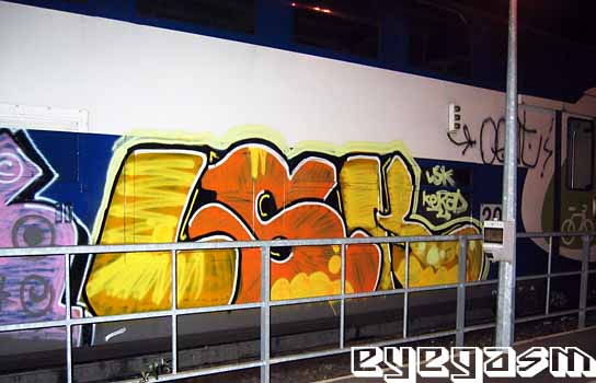 lsk24.jpg