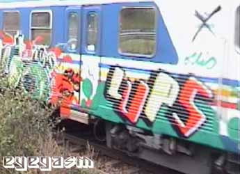 lups01.jpg