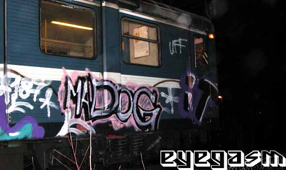 madog-it01.jpg