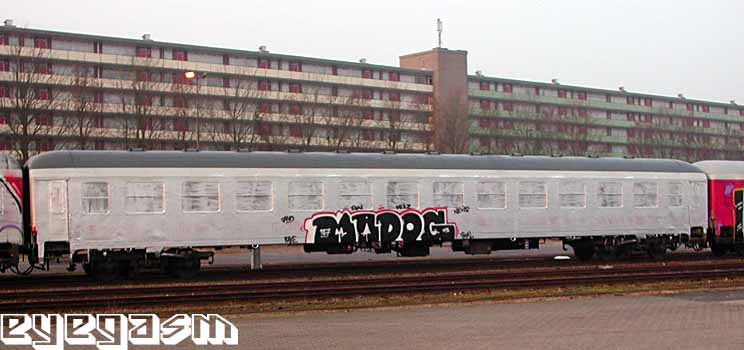 madog-wc01.jpg