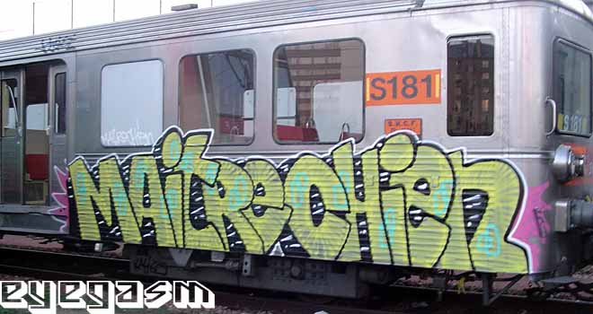 maitrechien01.jpg