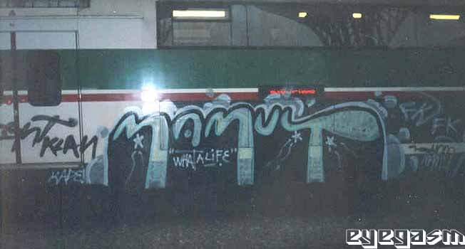 mamut01.jpg