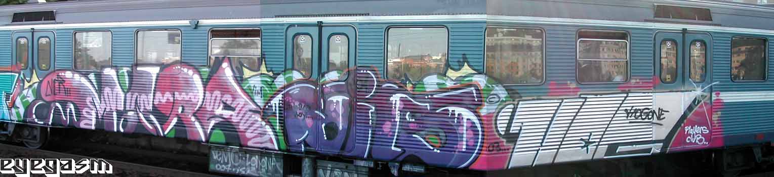 marr-bits-hog01.jpg