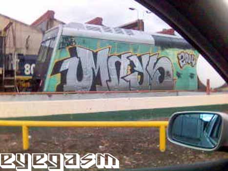 mays01.jpg