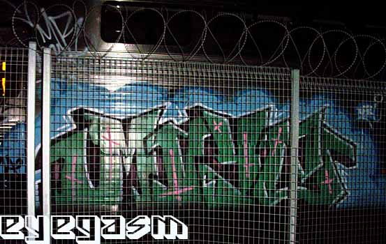 mayz01.jpg