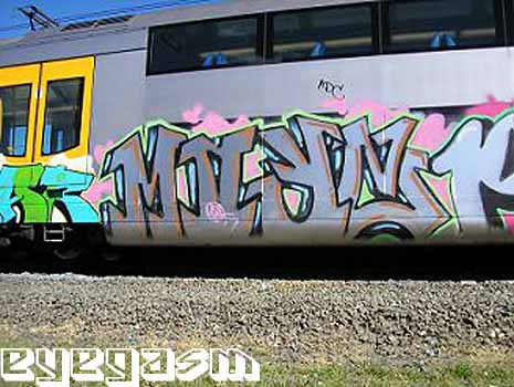 mayz02.jpg
