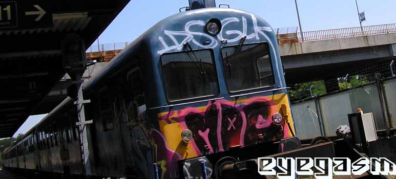mdc004.jpg