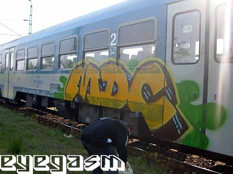 mdc017.jpg