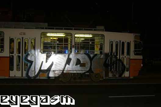 mdc019.jpg