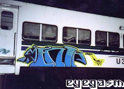 menta01.jpg