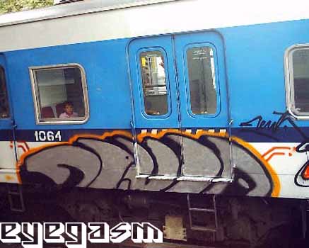 menta02.jpg