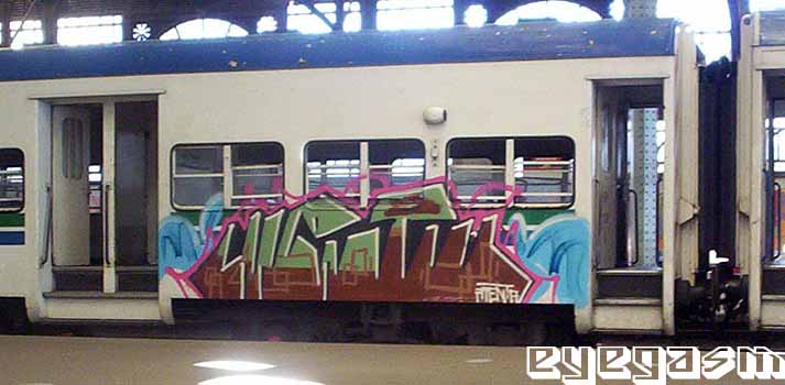 menta12.jpg
