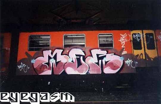 mer01.jpg
